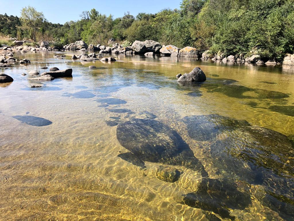 Un rincón del río